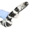 F*CK MY COLOR Gode XL Cowcow 31 x 6.4cm